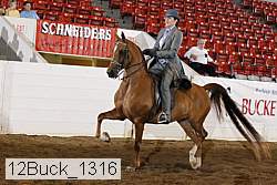 12buck_1316 proof