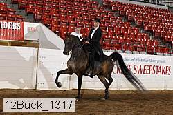 12buck_1317 proof