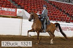 12buck_1321 proof