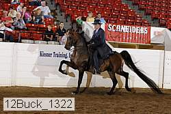 12buck_1322 proof