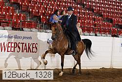 12buck_1328 proof