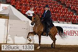 12buck_1330 proof