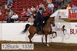 12buck_1336 proof