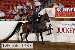12buck_1337 proof