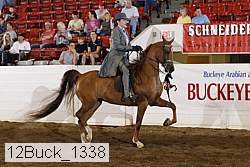 12buck_1338 proof
