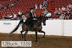 12buck_1339 proof