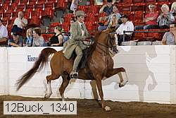 12buck_1340 proof
