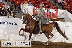 12buck_1341 proof