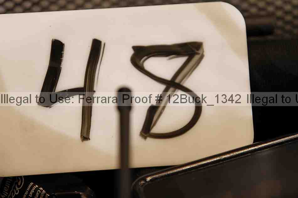 Proof 12buck_1342