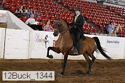 12buck_1344 proof