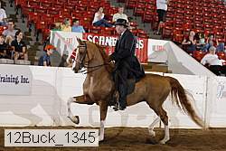 12buck_1345 proof