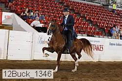 12buck_1346 proof