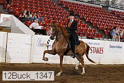 12buck_1347 proof