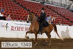 12buck_1349 proof
