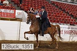 12buck_1351 proof