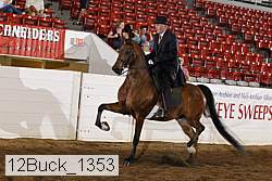 12buck_1353 proof