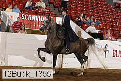 12buck_1355 proof