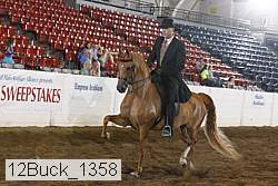 12buck_1358 proof