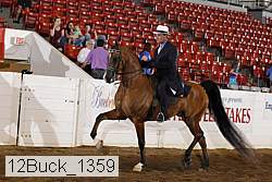 12buck_1359 proof