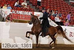 12buck_1361 proof