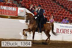 12buck_1364 proof