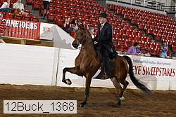 12buck_1368 proof