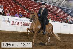 12buck_1371 proof
