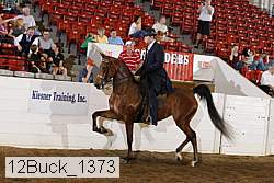 12buck_1373 proof