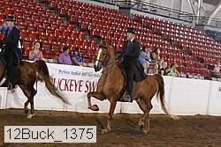 12buck_1375 proof