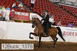 12buck_1378 proof