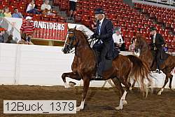 12buck_1379 proof