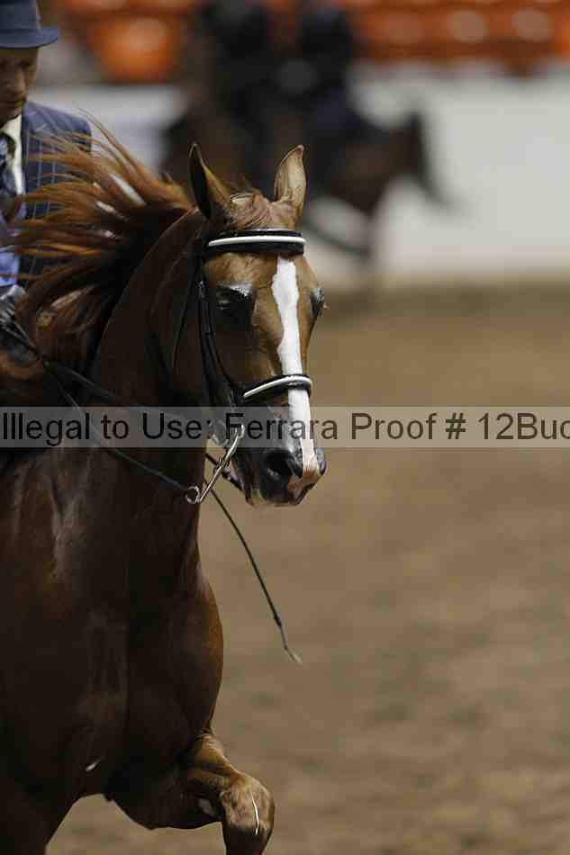 Proof 12buck_1385