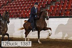 12buck_1387 proof