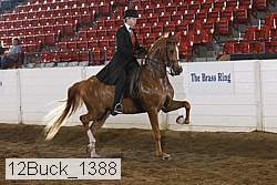 12buck_1388 proof