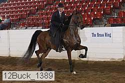 12buck_1389 proof