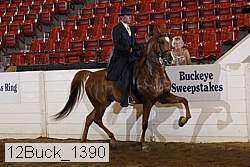 12buck_1390 proof