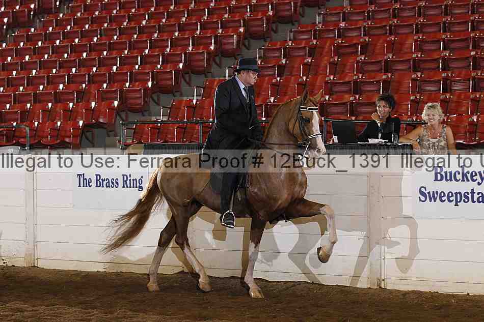 Proof 12buck_1391