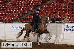 12buck_1391 proof