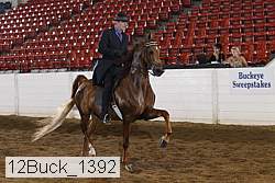 12buck_1392 proof