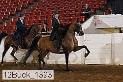 12buck_1393 proof