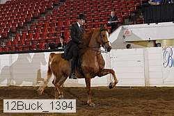 12buck_1394 proof
