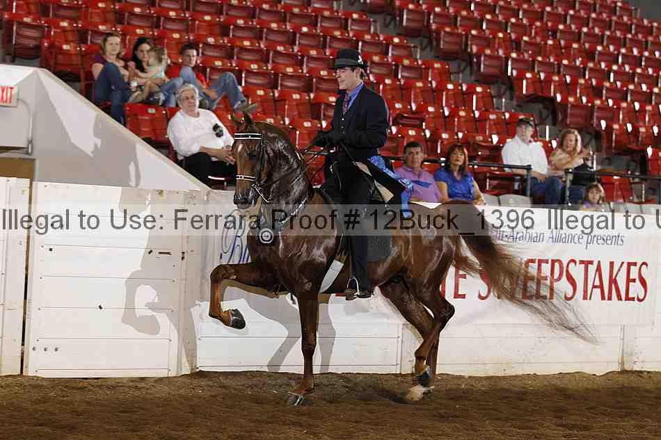 Proof 12buck_1396