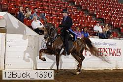 12buck_1396 proof