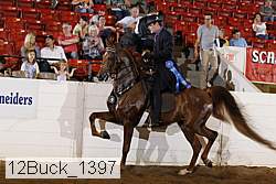 12buck_1397 proof