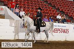 12buck_1404 proof