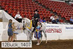 12buck_1407 proof