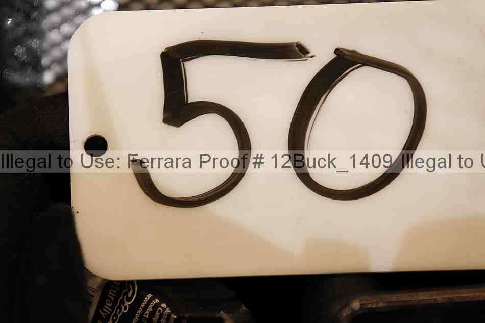 Proof 12buck_1409
