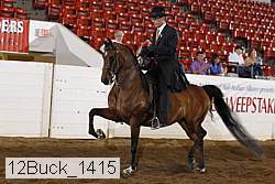 12buck_1415 proof