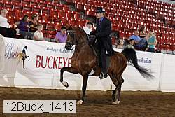 12buck_1416 proof