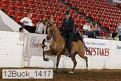 12buck_1417 proof
